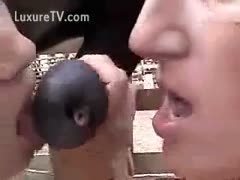 A couple of almost legal beauties consuming a horse pecker